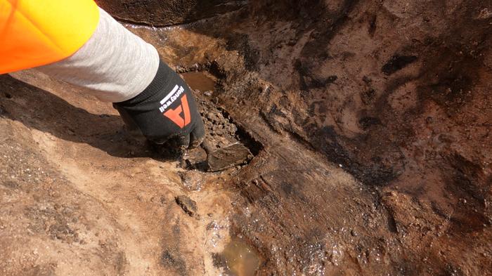 mage 6 the wooden spade in situ carefully excavated by wessex archaeology experts working on the moors at arne project wessex archaeology.jpg