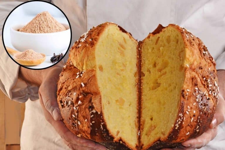 panettone farina di grillo.jpg