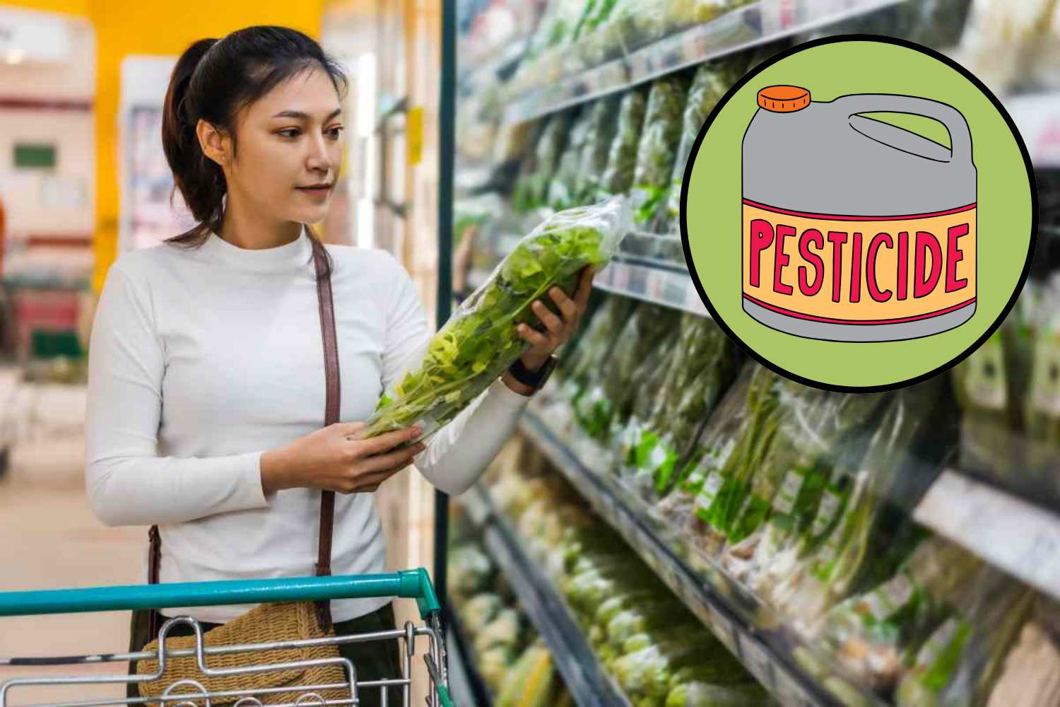 pesticidi insalata in busta.jpg