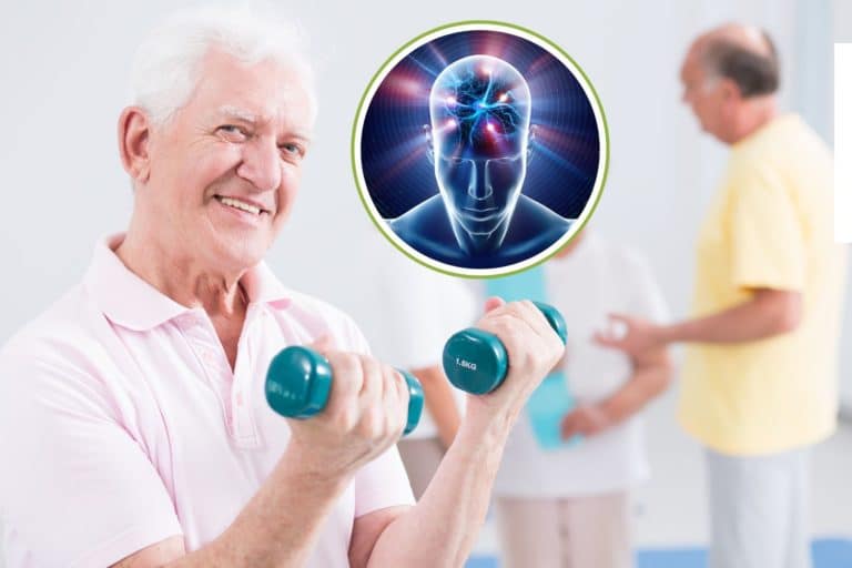 Non solo muscoli, così l’esercizio fisico “pompa” e fa crescere anche i neuroni, parola del MIT 1 pompare neuroni 2.jpg