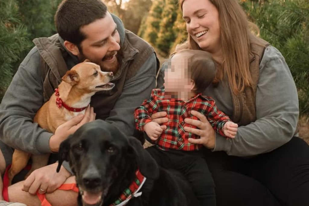 12dogsandcounting.jpg
