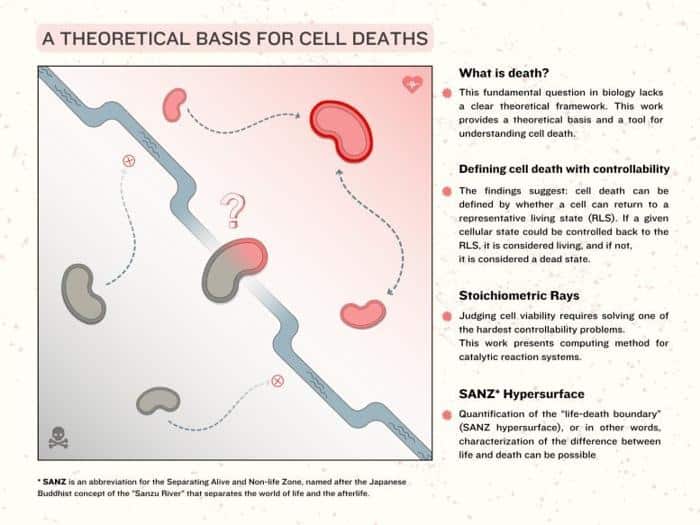 A Theoretical Basis for Cell Deaths 777x583 1.jpg