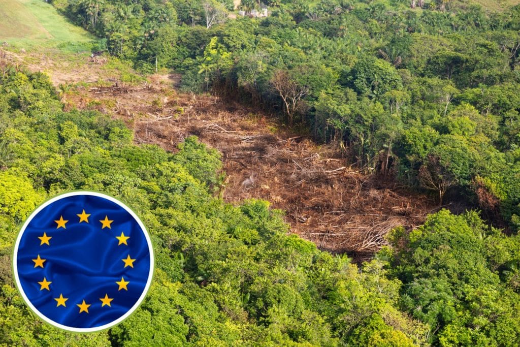 Accordo Ue Mercosur.jpg