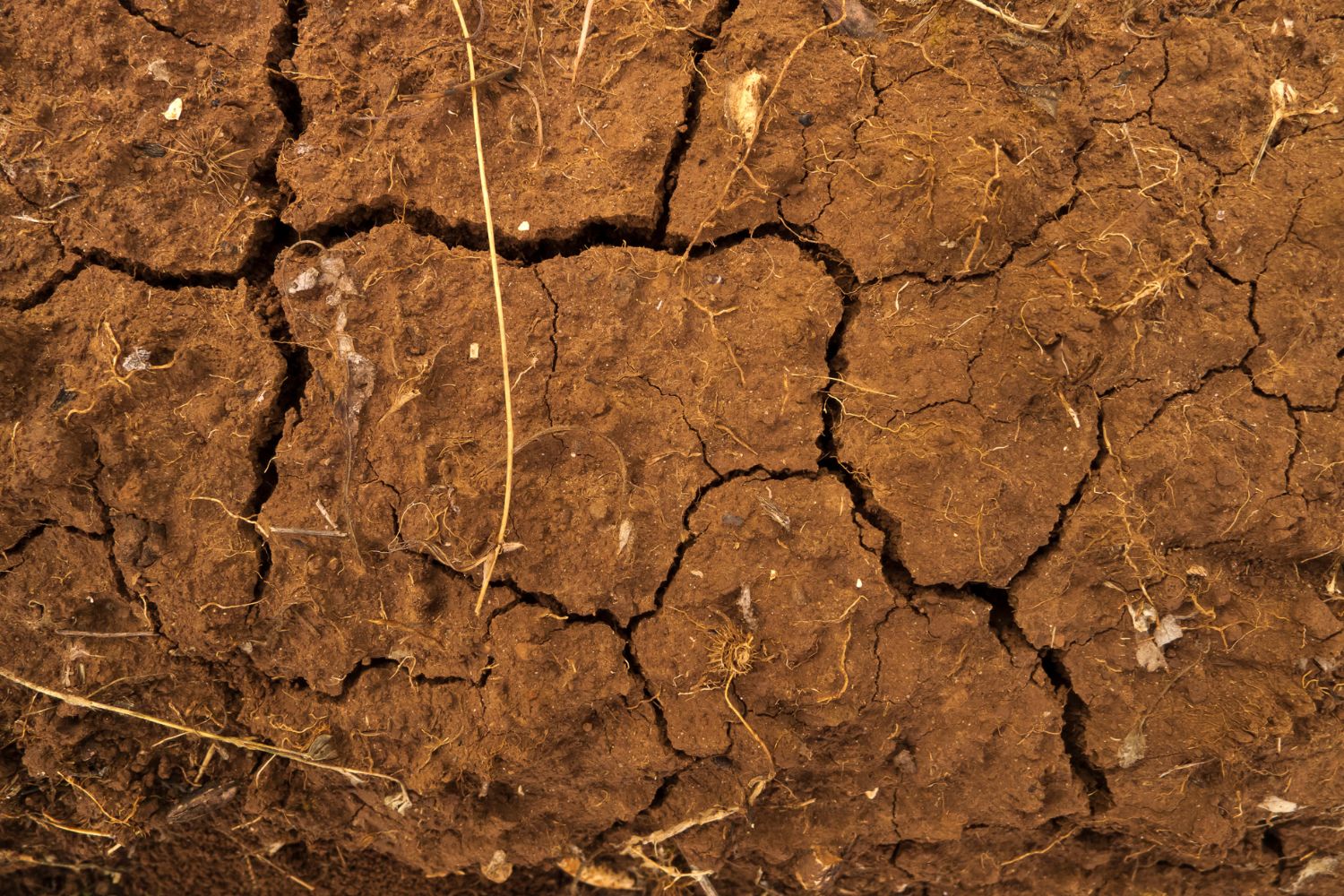 La Terra si secca sotto i nostri occhi: il 40% del Pianeta è ormai arido, Italia ed Europa incluse 1 Aridita.jpg