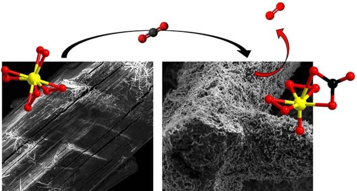 Carbon Capture Titanium Molecules.jpg