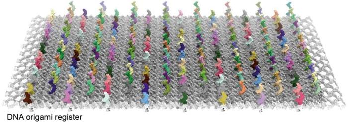 DNA Origami Registers 777x274 1.jpg