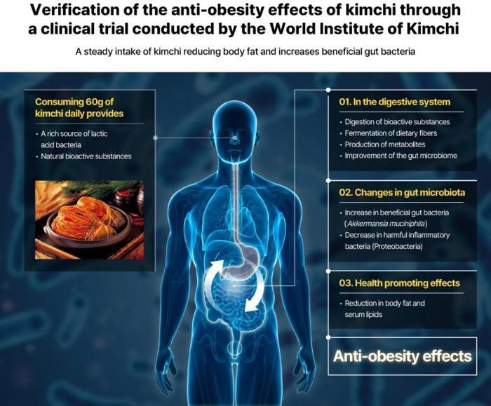 Diagram of Anti Obesity Effects of Kimchi Clinical Trial 777x643 1.jpg