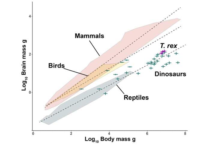 DinosaurIntelligenceComparedToOtherAnimalsGraph.jpg