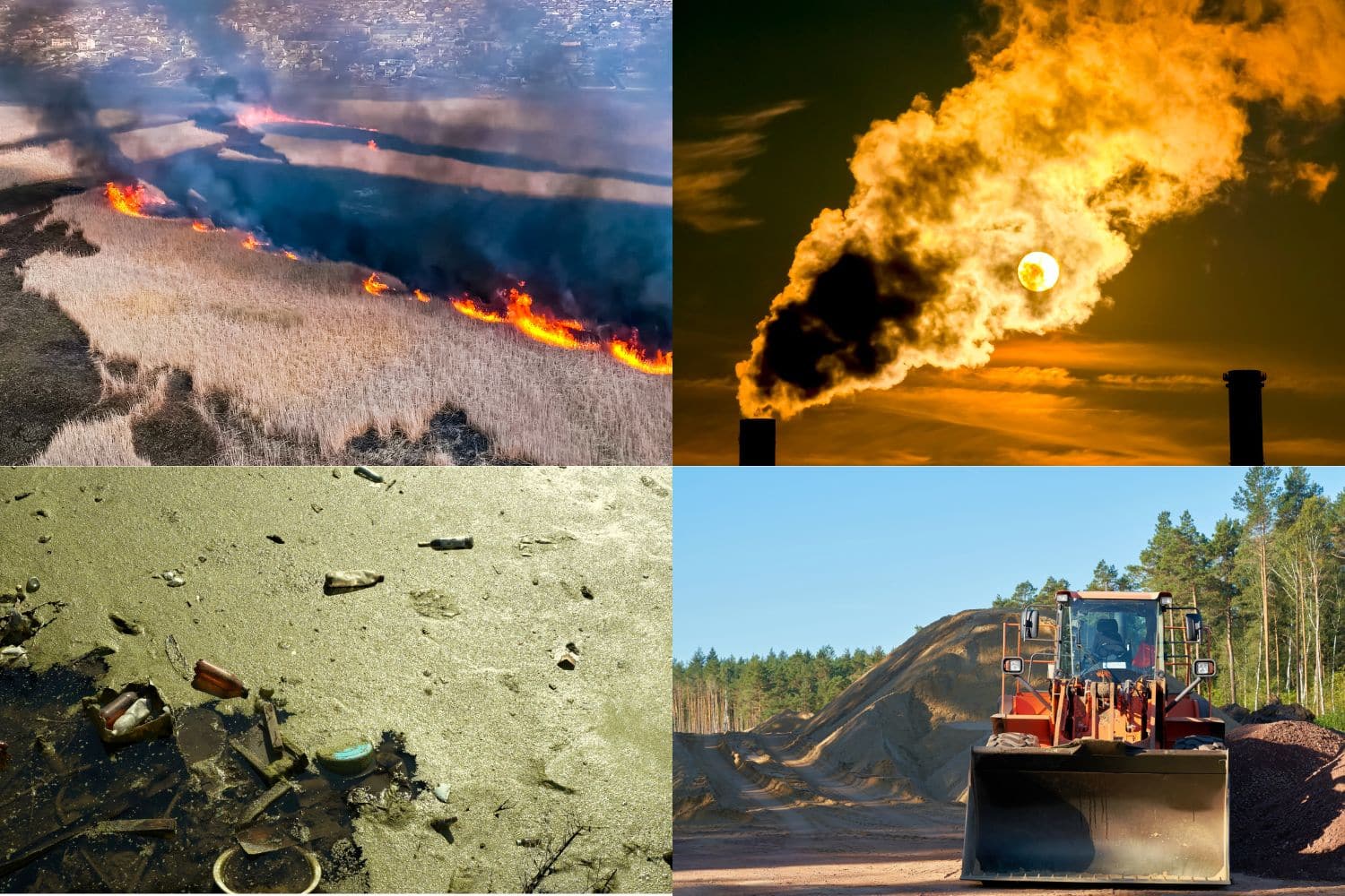 Ecocidio: reclusione fino a 20 anni per chi danneggia il Pianeta, la Scozia sta per fare la storia 1 Ecocidio.jpg