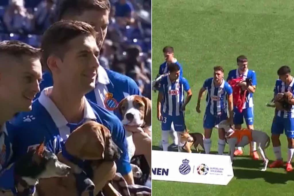 Espanyol cani.jpg