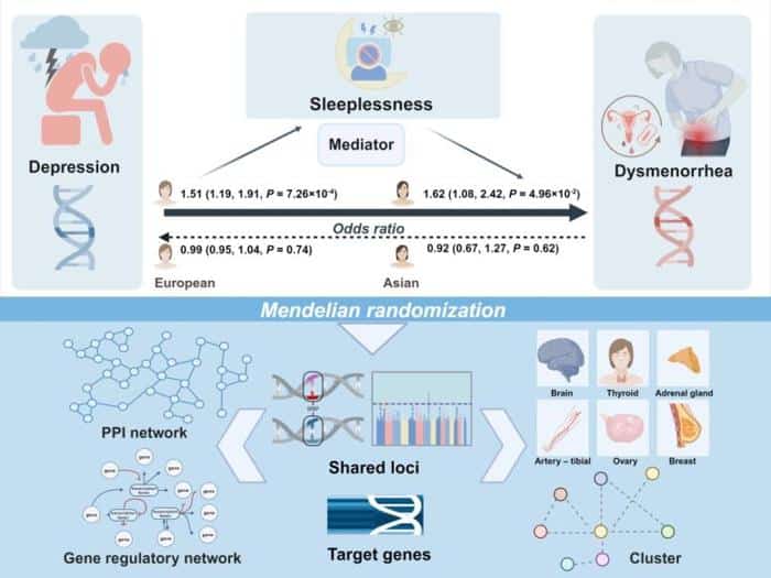 Genes Linking Depression to Menstrual Pain 777x583 1.jpg