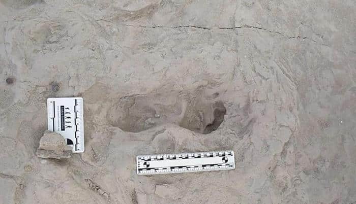 Interazioni tra Homo erectus e Paranthropus boisei nel Pleistocene 1 Homo erectus Footprint 777x447 1.jpg