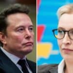 Lendorsement di Musk ai neonazisti di Afd Solo la destra puo salvare la Germania.jpg