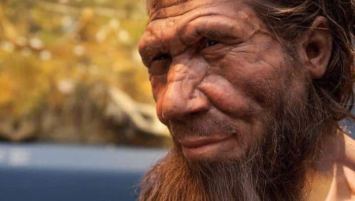 Male Neanderthal Face Reconstruction 777x440 1.jpg