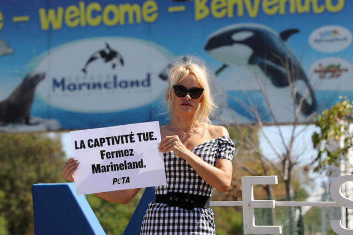 Marineland.jpg