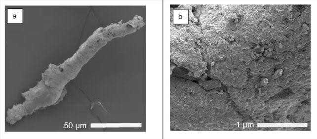 MicroplasticsFromTyresUnderMicroscopeBlackAndWhite e1732761955310.jpg