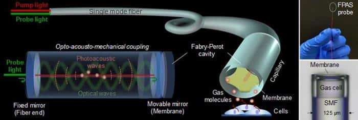 Miniaturized All Fiber Photoacoustic Spectrometer for Intravascular Gas Detection.jpg