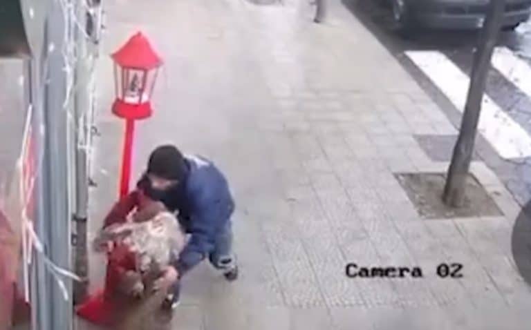 Napoli la banda dei Babbi Natale delinquenti rubano decorazioni natalizie.jpg