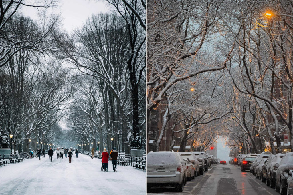 Neve New York.jpg
