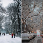 Neve New York.jpg