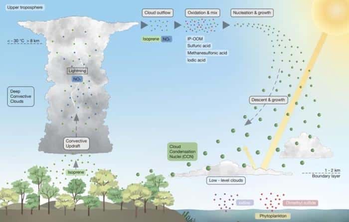 New Particle Formation From Isoprene in the Upper Troposphere 777x495 1.jpg