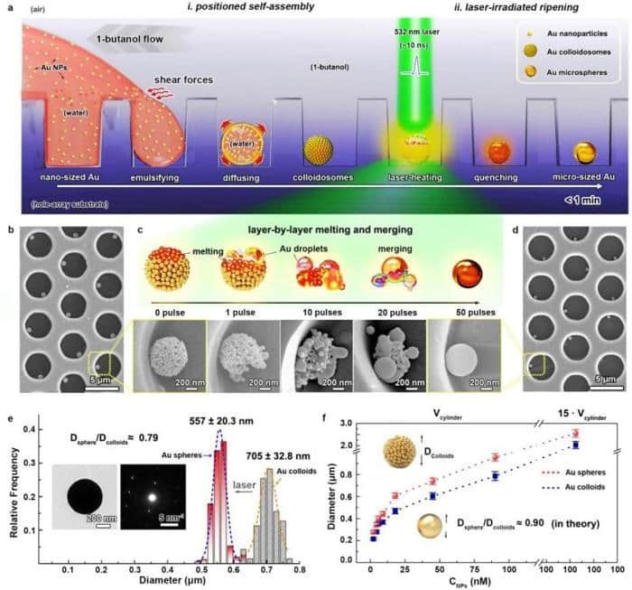 Rapid Approach to Pure Gold Microsphere Array Fabrication 777x725 1.jpg