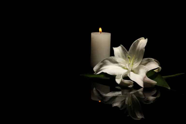 SH Candela Fiore Bianco Lutto Perdita 768x512.jpg