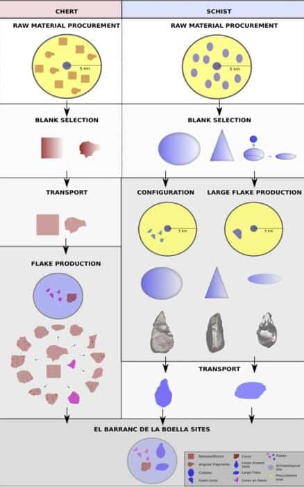 StoneToolUseProductionBecomesSpecializedInMiddlePleistocene.jpg