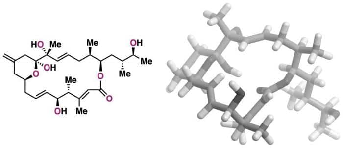 Structure of Iriomoteolide 1a 777x336 1.jpg