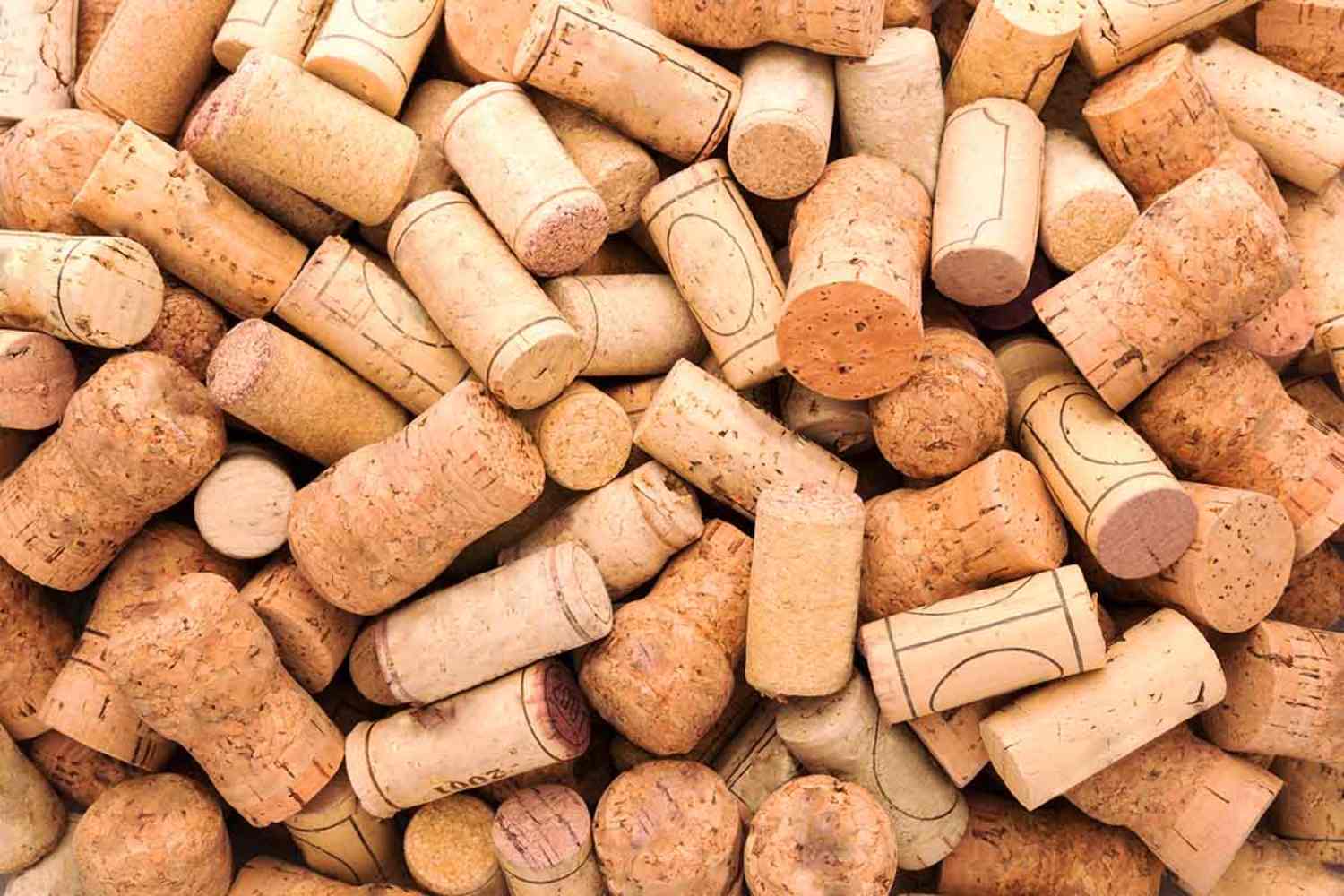 Dai nuova vita ai tappi di sughero: diventa punto di raccolta per trasformarli in bioedilizia! 1 Tappi sughero.jpg