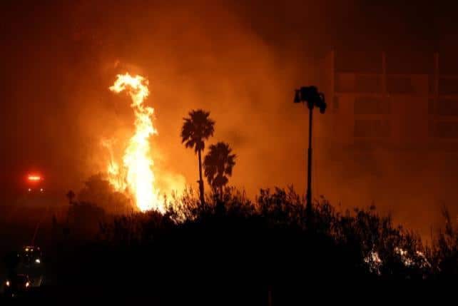 WildFire InMalibu2024.jpg