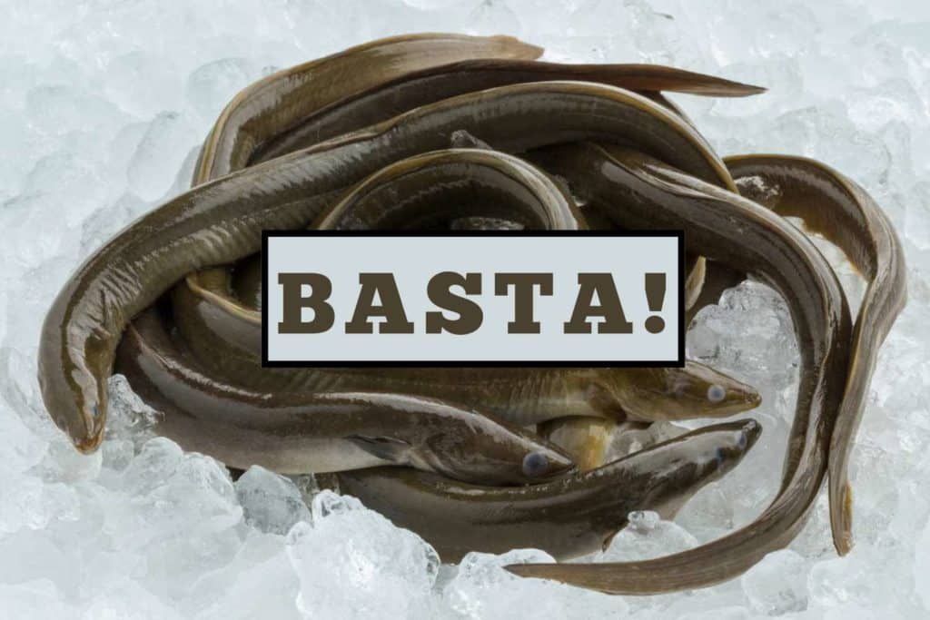 basta anguilla.jpg