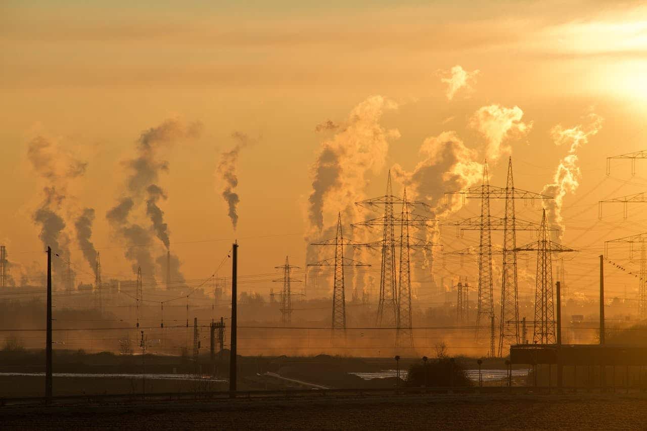 È ufficiale: il 2024 è l’anno più caldo della storia, il primo a superare la soglia di 1,5°C di riscaldamento globale 1 caldo record inquinamento.jpg