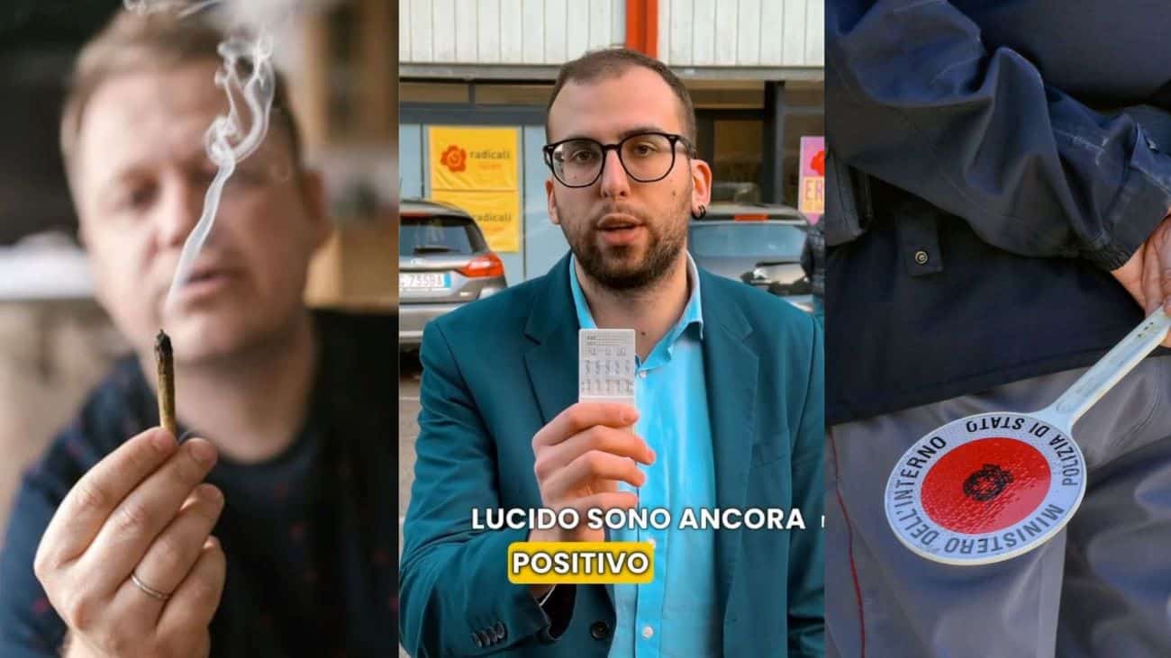 cannanbis radicali cds 2.jpg