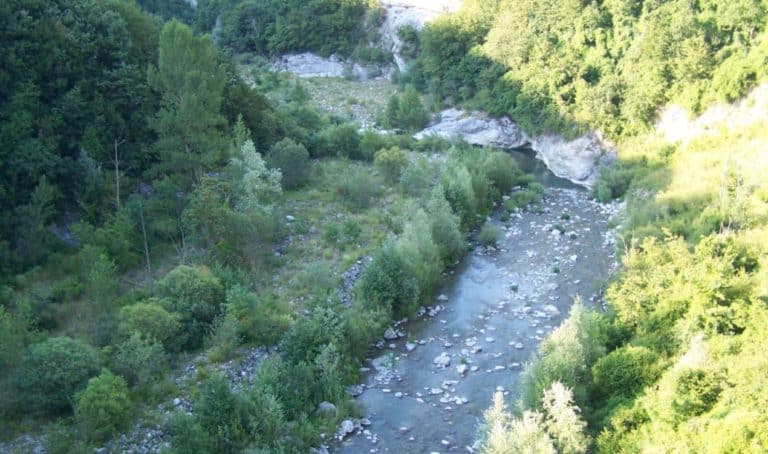 fiume enza selfie pericoloso.jpg