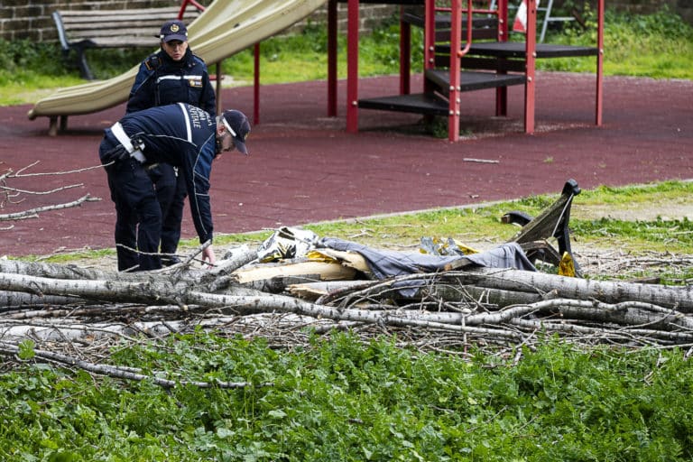 francesca ianni mamma uccisa albero caduto roma scaled.jpg