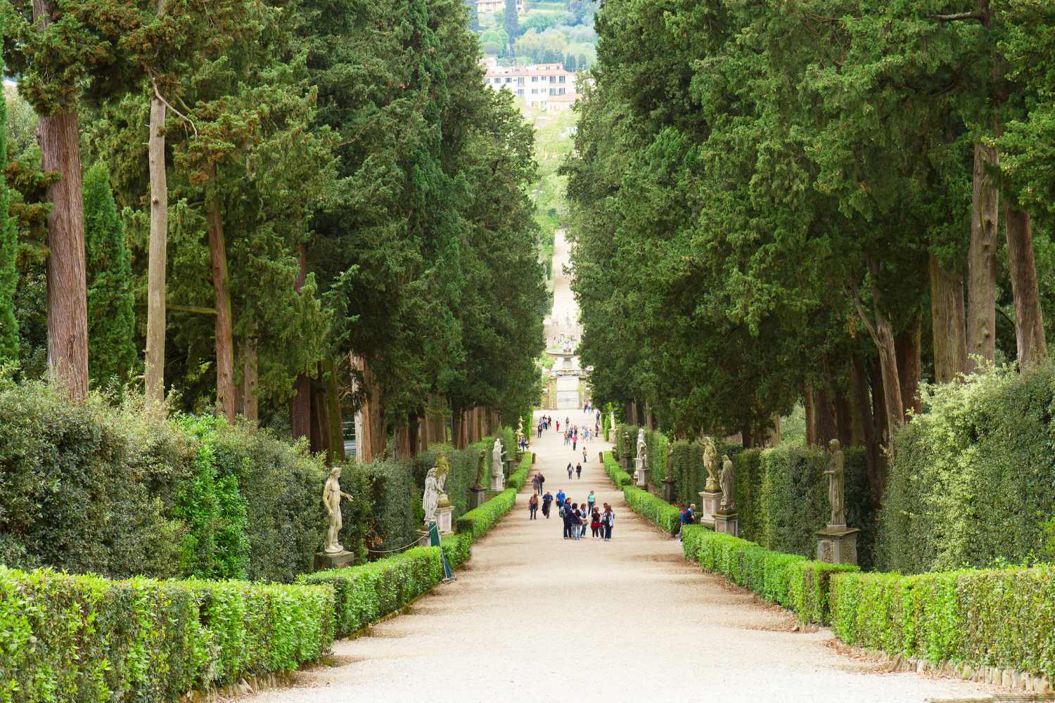 Questi sono i parchi e giardini botanici che vale la pena visitare anche a dicembre e gennaio 1 giardino boboli.jpg