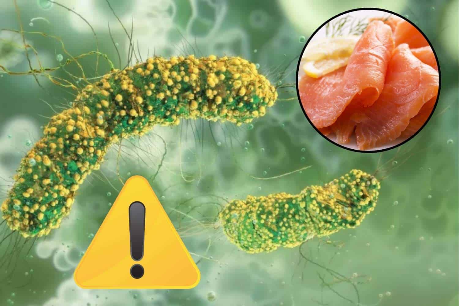 Mangia salmone affumicato e finisce in coma per Listeria: “le date di scadenza erano false”, la denuncia di un dipendente prima del suicidio 1 listeria salmone.jpg