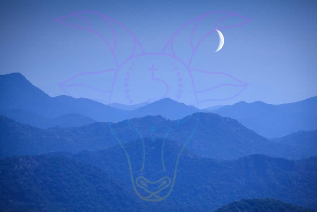 luna nuova capricorno.jpg