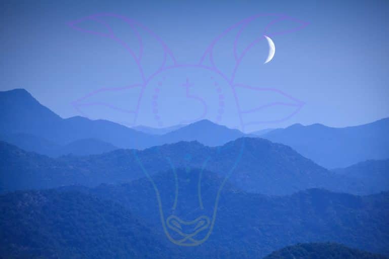 luna nuova capricorno.jpg