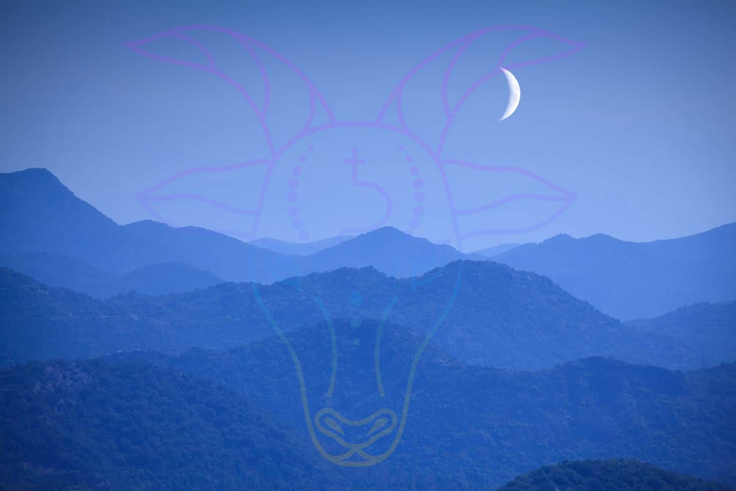 luna nuova capricorno.jpg