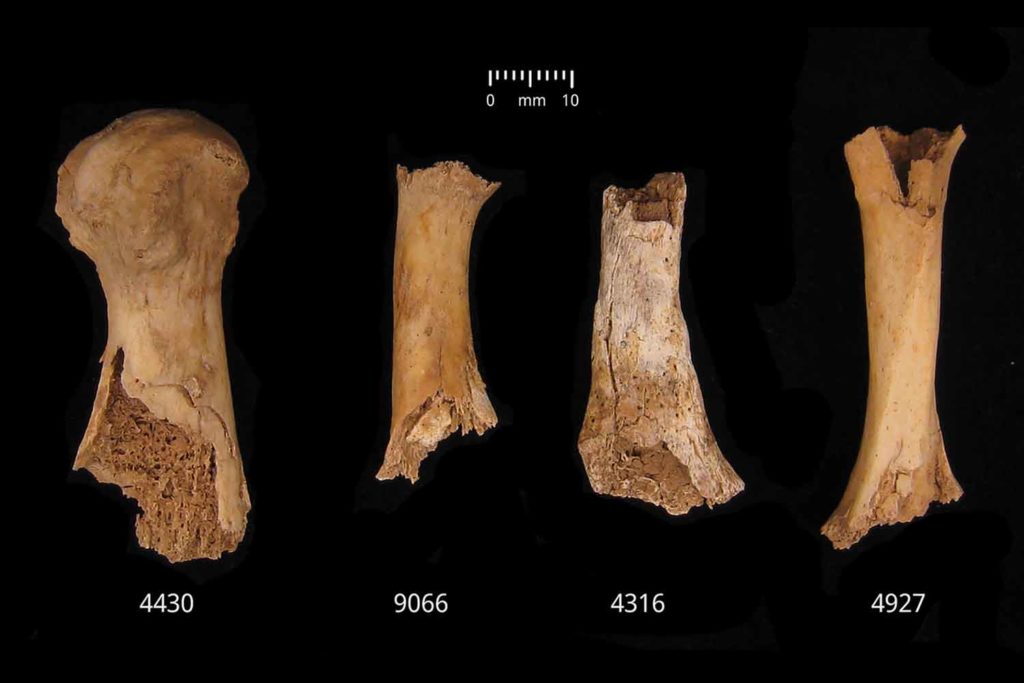massacro di 4000 anni fa.jpg