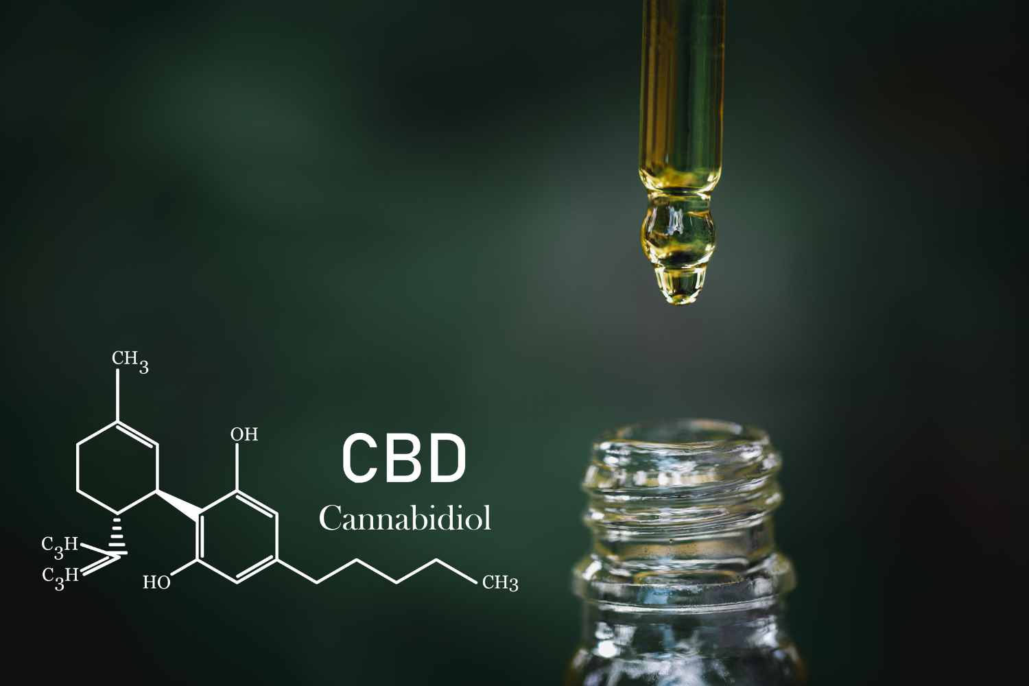 olio CBD 2.jpg