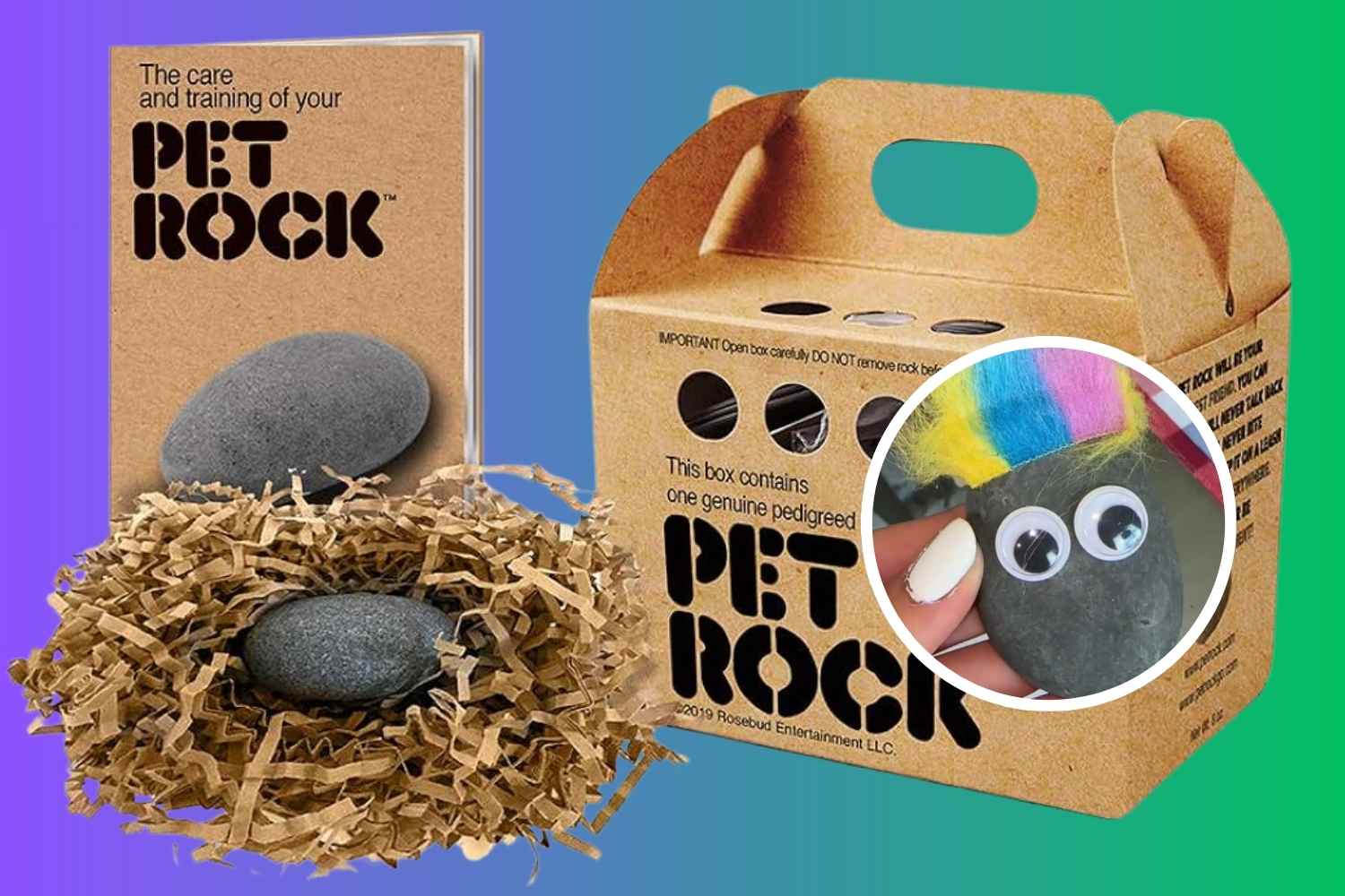 L’incredibile storia delle Pet Rocks e perché i millenials stanno tornando ad adottare sassi contro la solitudine 1 pet rock.jpg