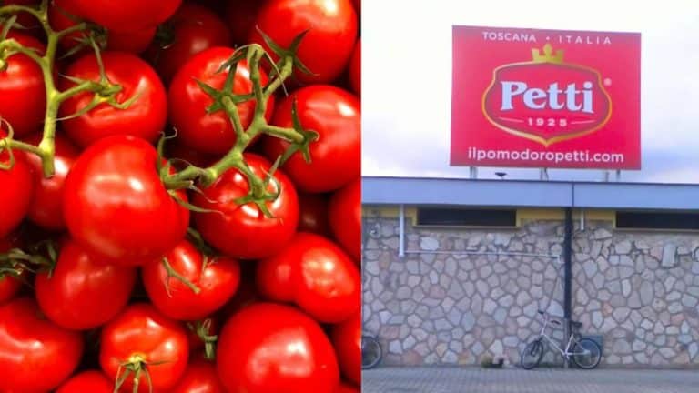 pomodoro cinese spacciato italiano .jpeg