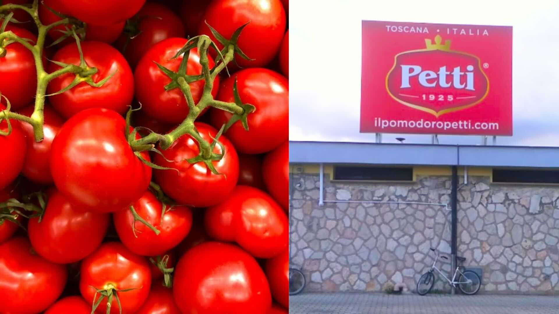 pomodoro cinese spacciato italiano .jpeg