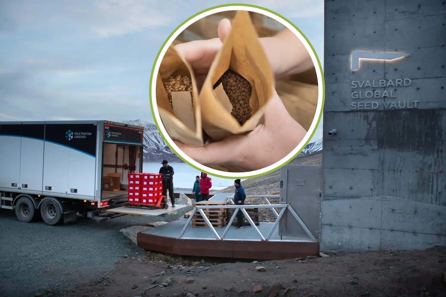 Anche mais e fagioli dei popoli nativi sono salvi! La Bolivia deposita per la prima volta gli antichi semi nel caveau alle Svalbard 1 semi bolivia.jpg