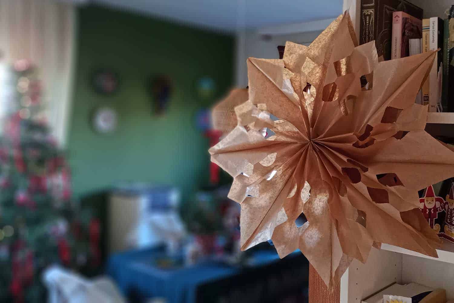 Stella fai da te con sacchetti del pane: l’idea di riciclo creativo che ti conquisterà 1 stella.jpg
