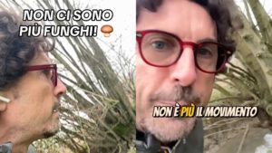 toninelli appello grillo funghi no voto statuto 5 stelle conte.jpg