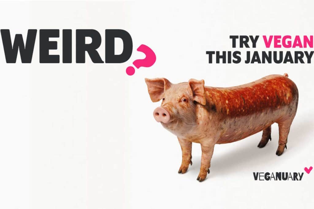 veganuary 25.jpg
